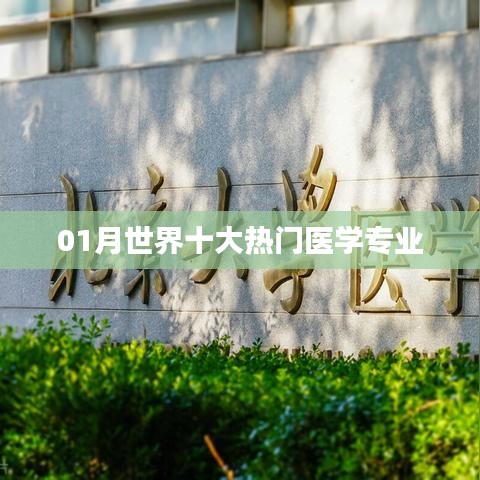 案例展示 第153页