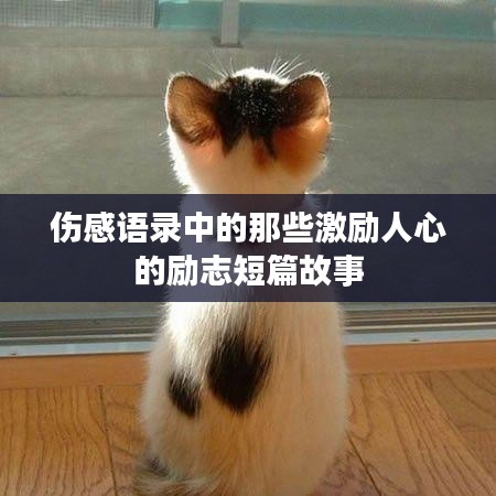 联系我们 第141页