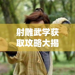 射雕武学获取攻略大揭秘，最新秘籍，助你轻松掌握！