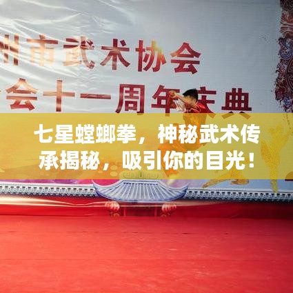 七星螳螂拳，神秘武术传承揭秘，吸引你的目光！