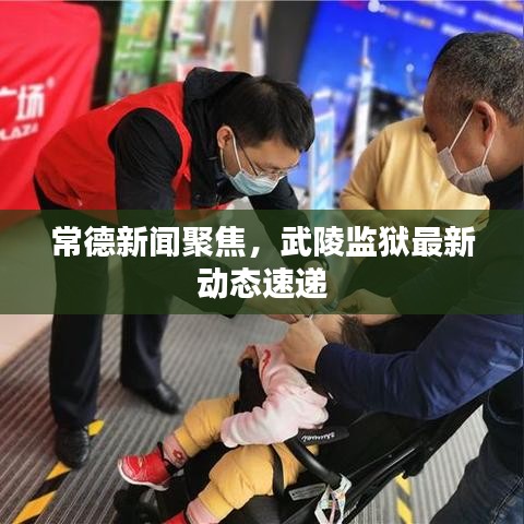 常德新闻聚焦，武陵监狱最新动态速递