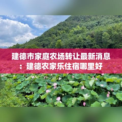 建德市家庭农场转让最新消息：建德农家乐住宿哪里好 