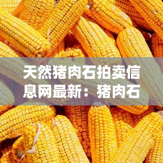 天然猪肉石拍卖信息网最新：猪肉石头价格查询 
