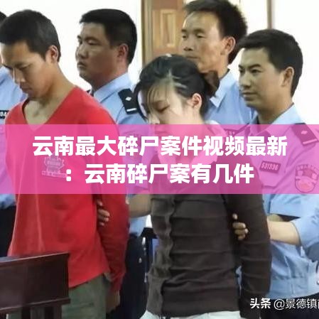 云南最大碎尸案件视频最新：云南碎尸案有几件 