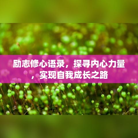 励志修心语录，探寻内心力量，实现自我成长之路