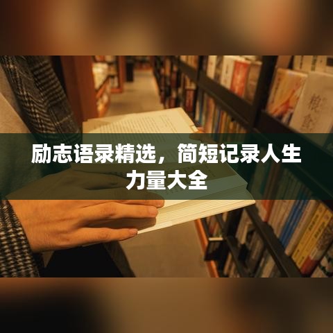 联系我们 第127页