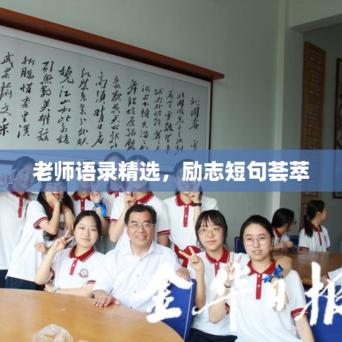 临危不惧 第3页