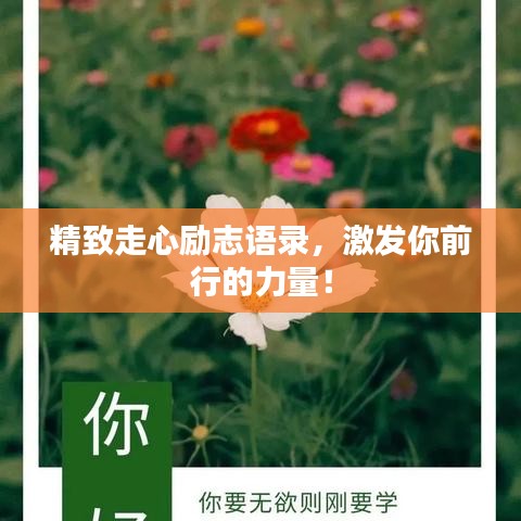 精致走心励志语录，激发你前行的力量！