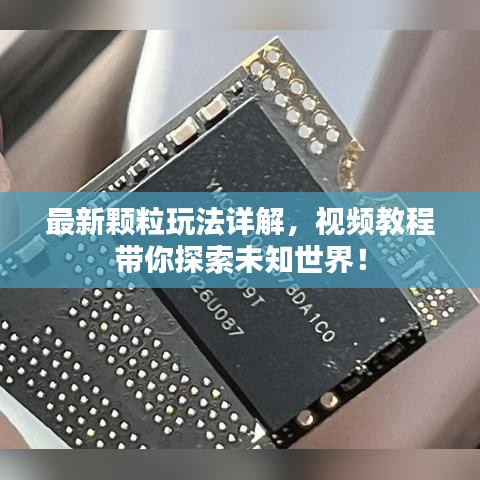 联系我们 第124页