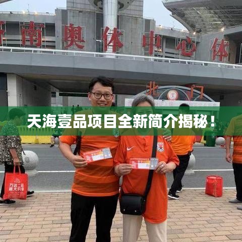 天海壹品项目全新简介揭秘！