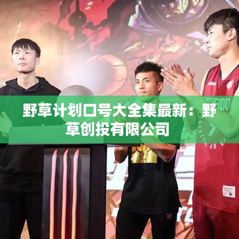 野草计划口号大全集最新：野草创投有限公司 