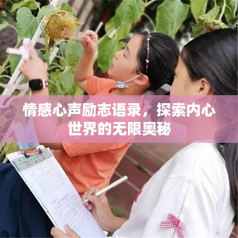 情感心声励志语录，探索内心世界的无限奥秘