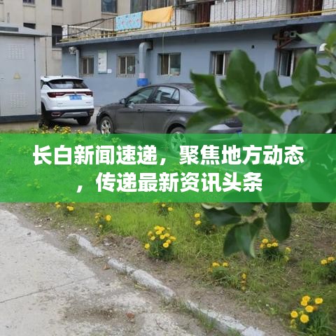 长白新闻速递，聚焦地方动态，传递最新资讯头条