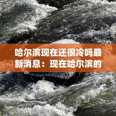 哈尔滨现在还很冷吗最新消息：现在哈尔滨的气温是多少度 
