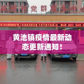 棒打出头鸟 第3页