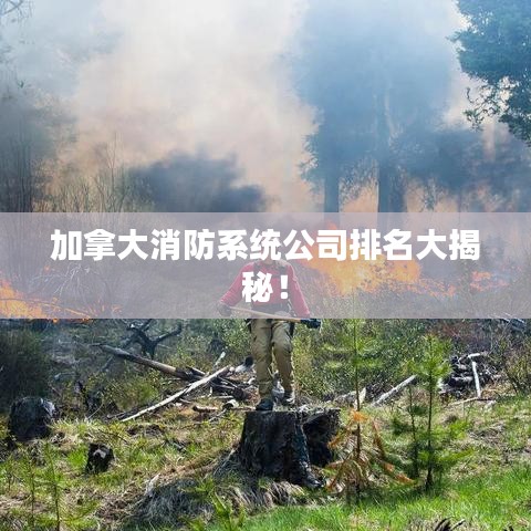 加拿大消防系统公司排名大揭秘！