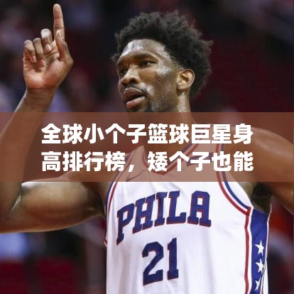 全球小个子篮球巨星身高排行榜，矮个子也能撑起篮球梦！