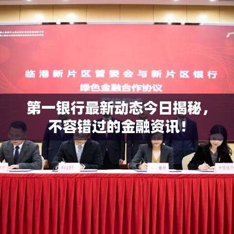 第一银行最新动态今日揭秘，不容错过的金融资讯！