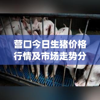 营口今日生猪价格行情及市场走势分析，最新报价与影响因素全解析