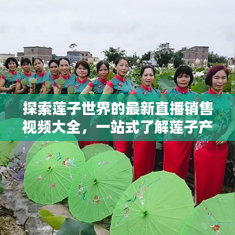 探索莲子世界的最新直播销售视频大全，一站式了解莲子产业资讯