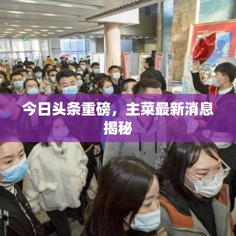 今日头条重磅，主菜最新消息揭秘