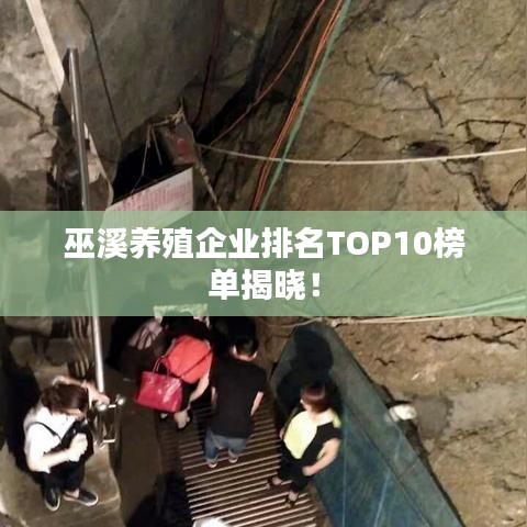 巫溪养殖企业排名TOP10榜单揭晓！
