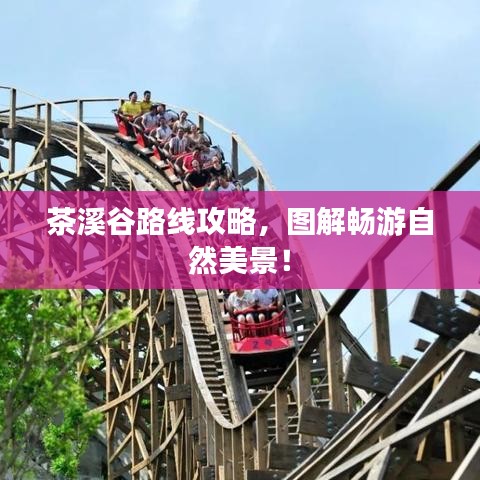 祖道供张 第2页