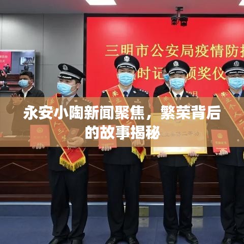 永安小陶新闻聚焦，繁荣背后的故事揭秘