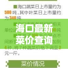 海口最新菜价查询报告，洞悉菜价动态，轻松掌握生活成本