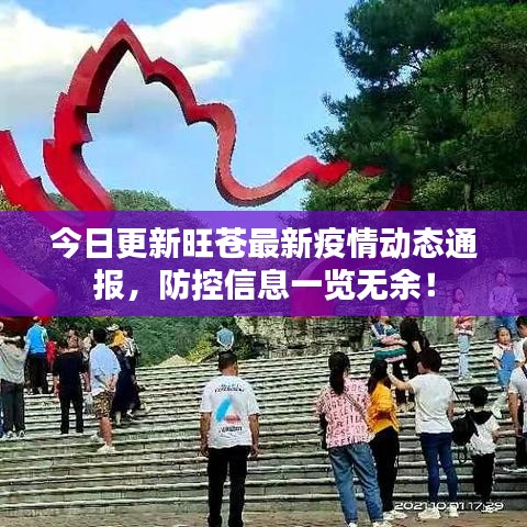 今日更新旺苍最新疫情动态通报，防控信息一览无余！