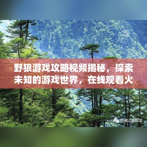 野狼游戏攻略视频揭秘，探索未知的游戏世界，在线观看火热来袭！
