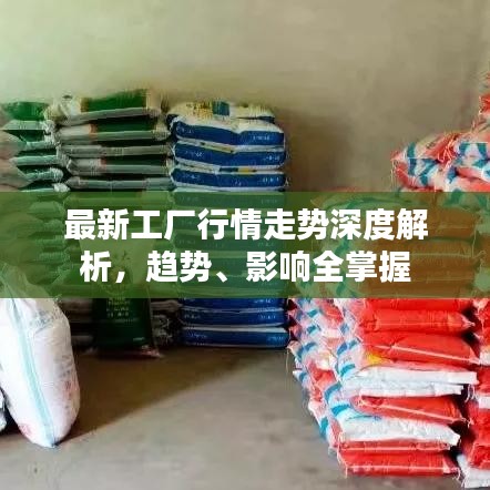 最新工厂行情走势深度解析，趋势、影响全掌握