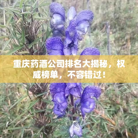 重庆药酒公司排名大揭秘，权威榜单，不容错过！