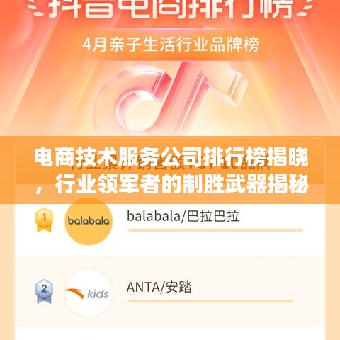 电商技术服务公司排行榜揭晓，行业领军者的制胜武器揭秘！