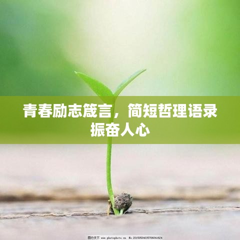 青春励志箴言，简短哲理语录振奋人心