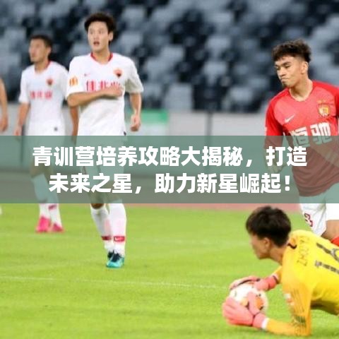 青训营培养攻略大揭秘，打造未来之星，助力新星崛起！