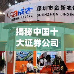 揭秘中国十大证券公司评级排名榜单！最新排名大解密！