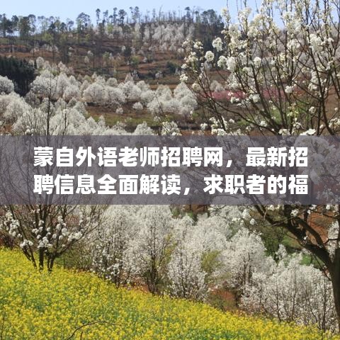 蒙自外语老师招聘网，最新招聘信息全面解读，求职者的福音！