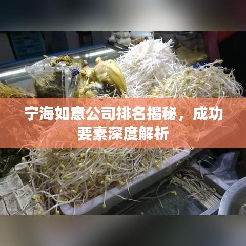 宁海如意公司排名揭秘，成功要素深度解析