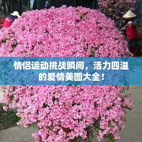 情侣运动挑战瞬间，活力四溢的爱情美图大全！