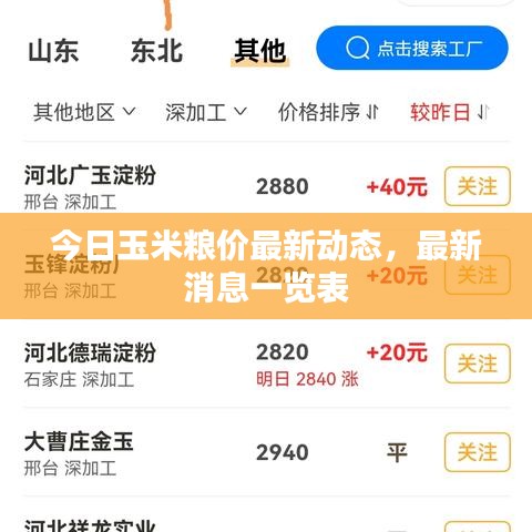 今日玉米粮价最新动态，最新消息一览表