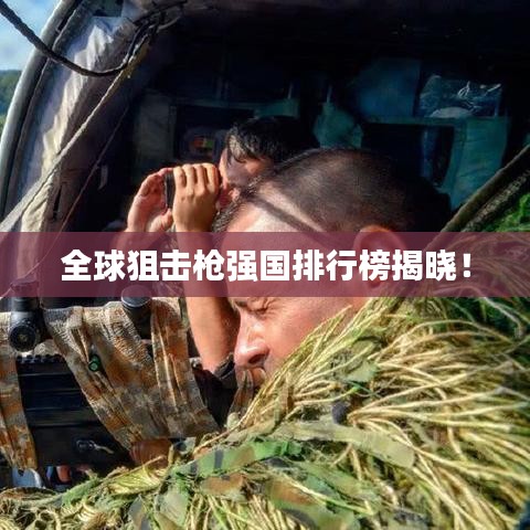 全球狙击枪强国排行榜揭晓！