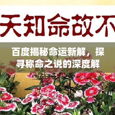 百度揭秘命运新解，探寻称命之说的深度解读