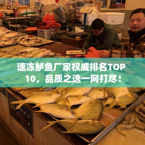 速冻鲈鱼厂家权威排名TOP 10，品质之选一网打尽！