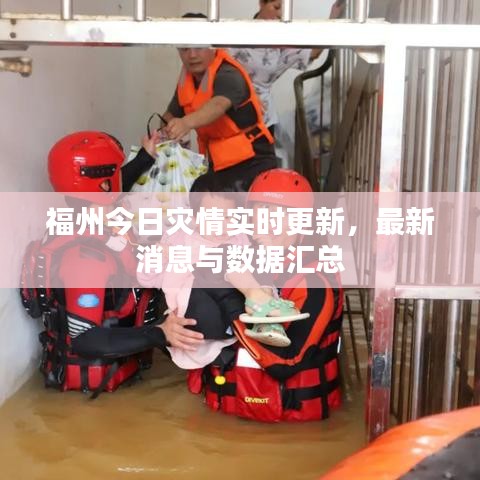福州今日灾情实时更新，最新消息与数据汇总