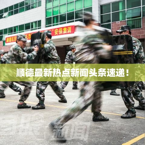 顺德最新热点新闻头条速递！