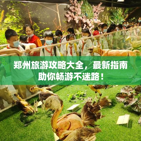 郑州旅游攻略大全，最新指南助你畅游不迷路！