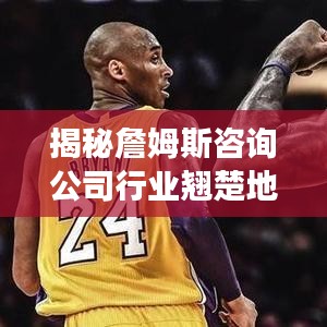 揭秘詹姆斯咨询公司行业翘楚地位的成功秘诀！