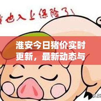 淮安今日猪价实时更新，最新动态与市场走势分析