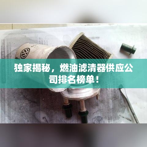 独家揭秘，燃油滤清器供应公司排名榜单！